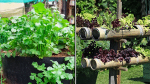 How to Create a Vertical Herb Garden on Your Balcony