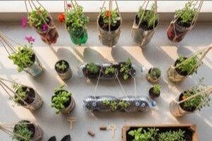 Top 10 Easy & Affordable Balcony Gardening Ideas That Will Blow Your Mind