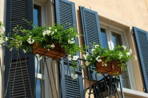 Top 10 Easy & Affordable Balcony Gardening Ideas That Will Blow Your Mind