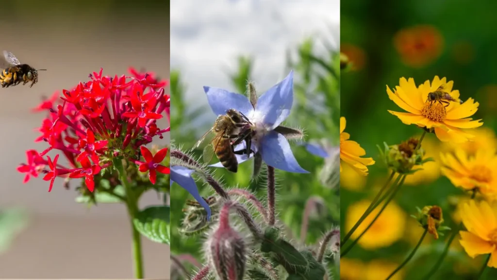8 Balcony Plants That Attract Bees