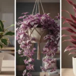 10 Carbon-Negative Balcony Plants